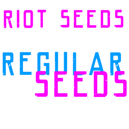 Regular Seeds